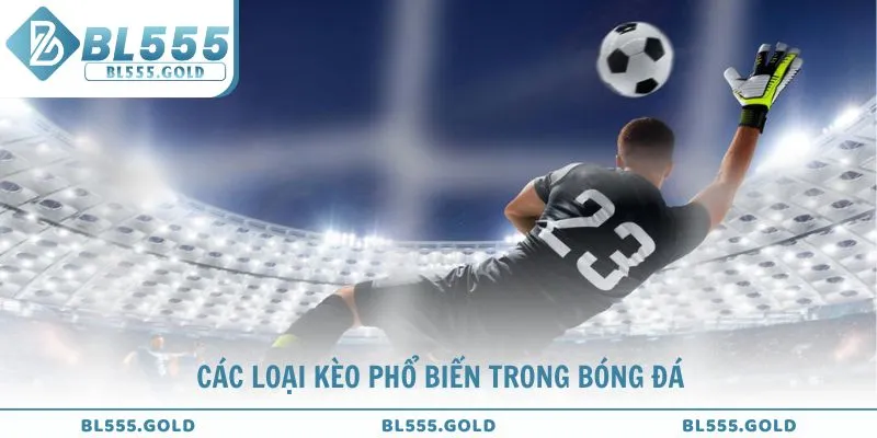 Khám phá các loại kèo phổ biến tại sảnh thể thao BL555