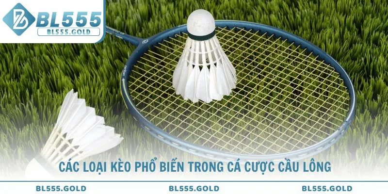 Chinh phục các loại kèo phổ biến trong cá cược cầu lông
