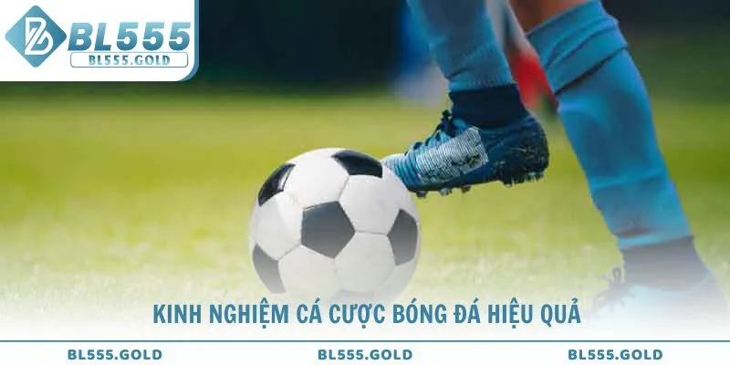 Kinh nghiệm cá cược bóng đá hiệu quả từ các cao thủ hàng đầu