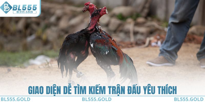 Giao diện dễ tìm kiếm trận đấu yêu thích